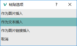 作为文本插入