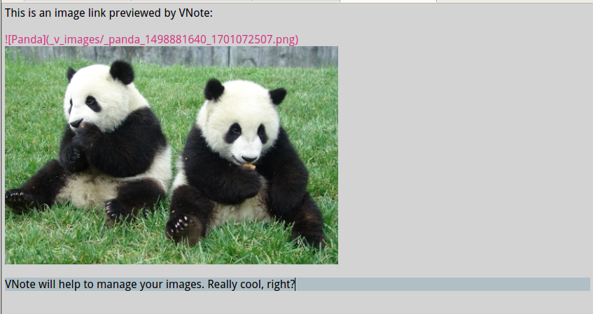 VNote Live Image Preview